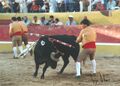 GFA Arronches F28.jpg