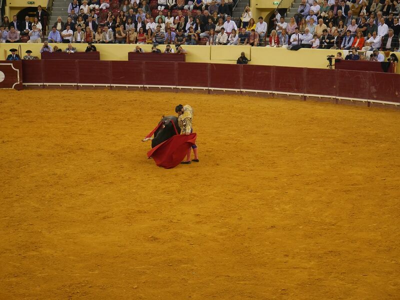 Ficheiro:Campo Pequeno F5.JPG