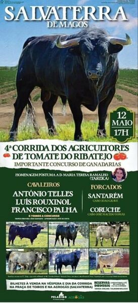 Ficheiro:Cartaz 0746.jpg