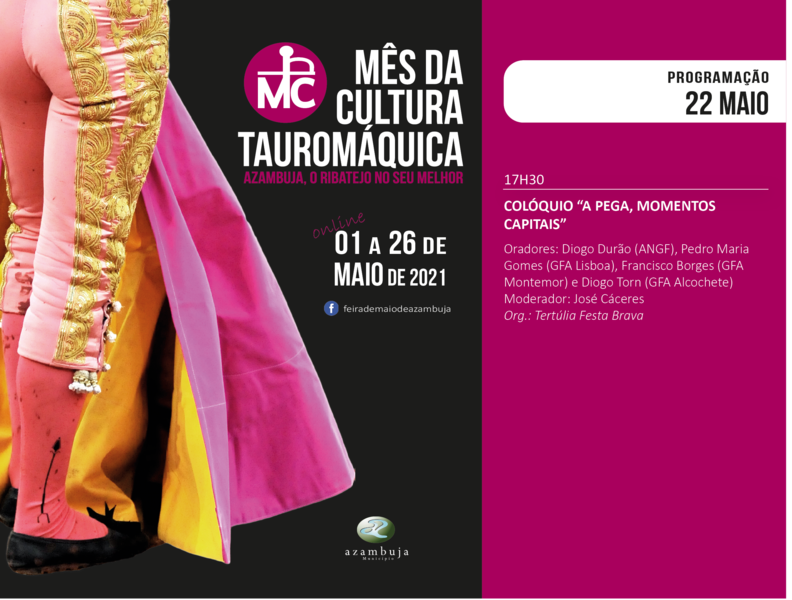 Ficheiro:MCT Azambuja Coloquio 22-05-2021.png
