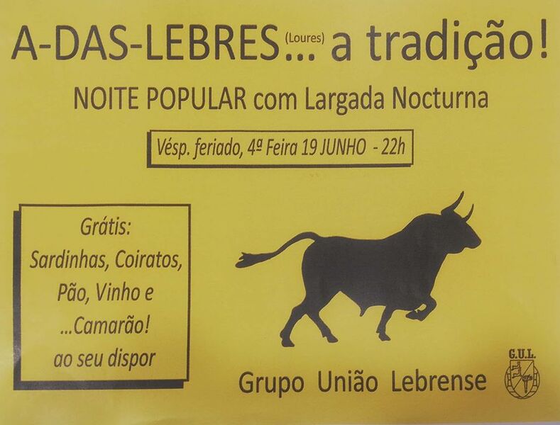 Ficheiro:LargadaNoturna A-das-Lebres Loures 2019.jpg