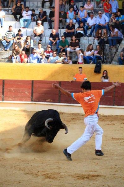 Ficheiro:Ass Eh! Toiro F5.jpg