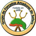 Miniatura da versão das 16h21min de 25 de maio de 2020