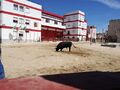 FeiraMaioAzambuja 20190602 121112.jpg