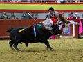 GFA Arronches F19.jpg