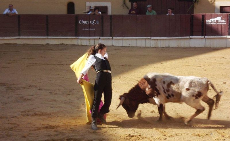 Ficheiro:Ass Eh! Toiro F84.jpg