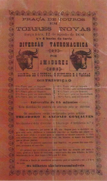 Ficheiro:G00019.jpg