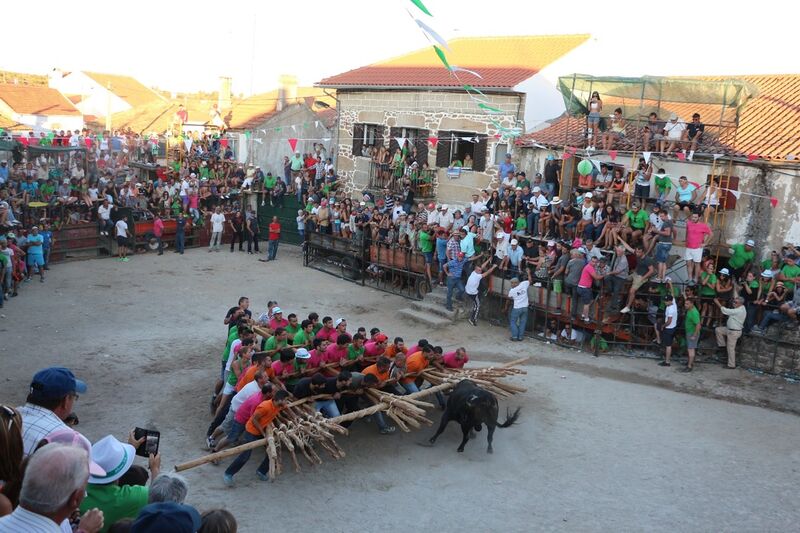 Ficheiro:NM F7.jpg