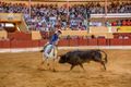 Ass Eh! Toiro F131.jpg