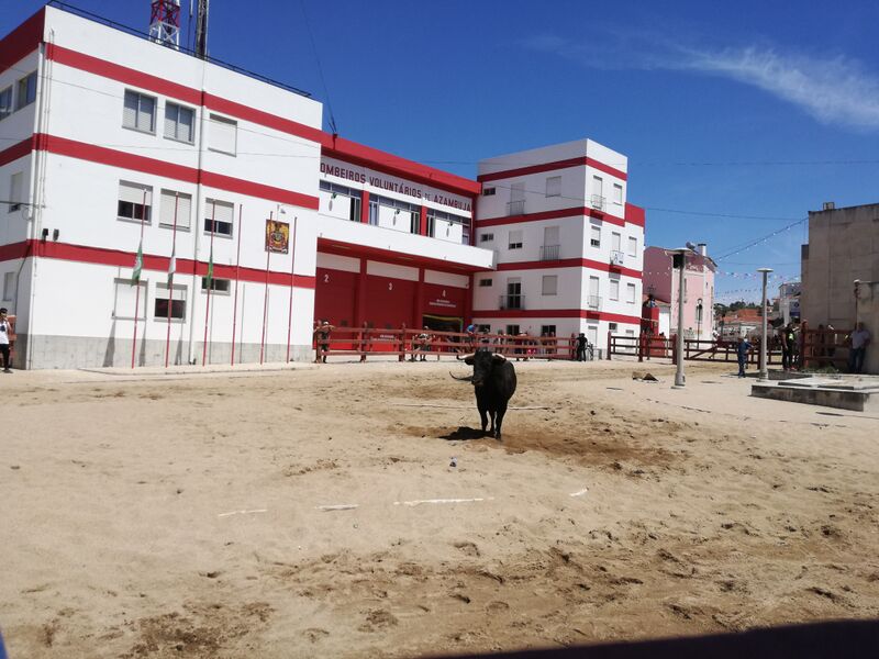 Ficheiro:FeiraMaioAzambuja 20190602 121129.jpg