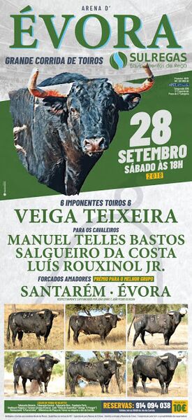 Ficheiro:Cartaz 0735.jpg