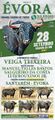 Cartaz 0735.jpg