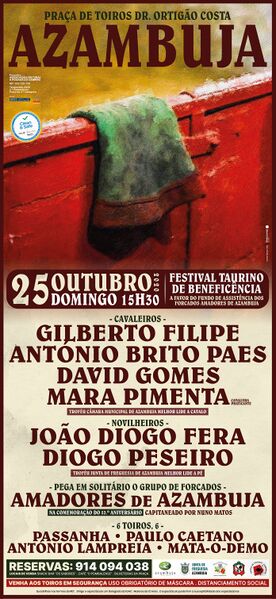 Ficheiro:CT Azambuja 25-10-2020.jpg