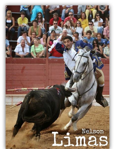 Ficheiro:Nelson Limas F4.jpg