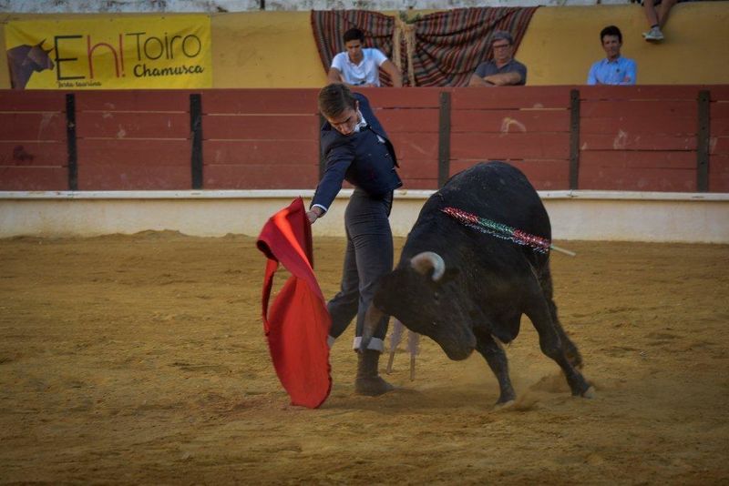Ficheiro:Ass Eh! Toiro F139.jpg