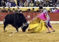 David Ferreira F27.jpeg