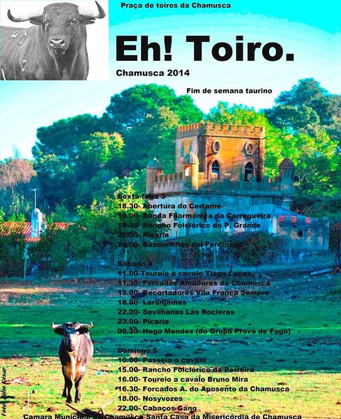 Ficheiro:Ass Eh! Toiro C7.jpg