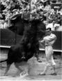 PACO F9.jpg