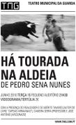 HaTouradaAldeia PSennaNunes.jpg