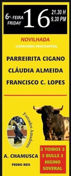 Ficheiro:Cartaz 0515.jpg
