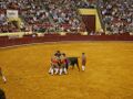 Campo Pequeno F3.JPG