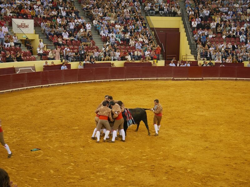 Ficheiro:Campo Pequeno F3.JPG