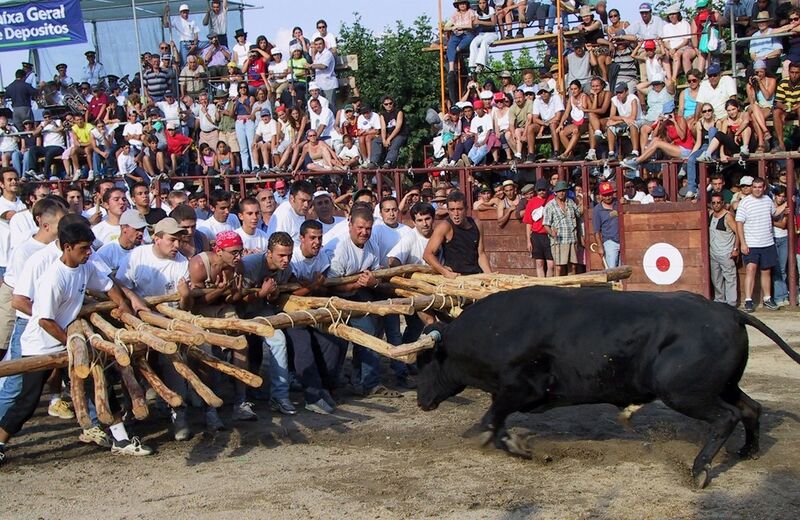 Ficheiro:NM F4.jpg