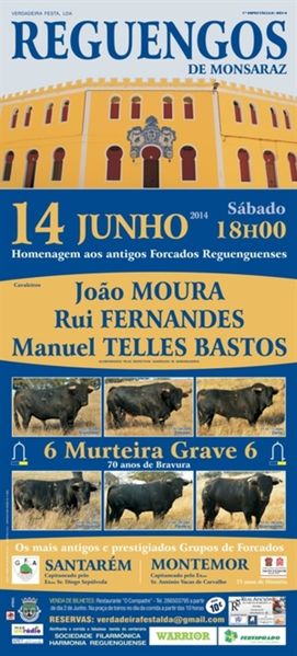 Ficheiro:Cartaz 0418.jpg