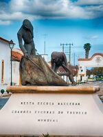 Estatua Escola-Toureio-Golega Rui-Fernandes.jpg