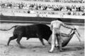 PACO F6.jpg