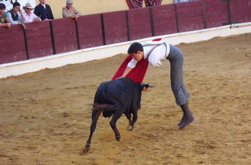 Ficheiro:Ass Eh! Toiro F83.jpg
