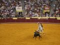 Campo Pequeno F8.JPG