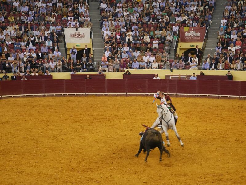 Ficheiro:Campo Pequeno F8.JPG