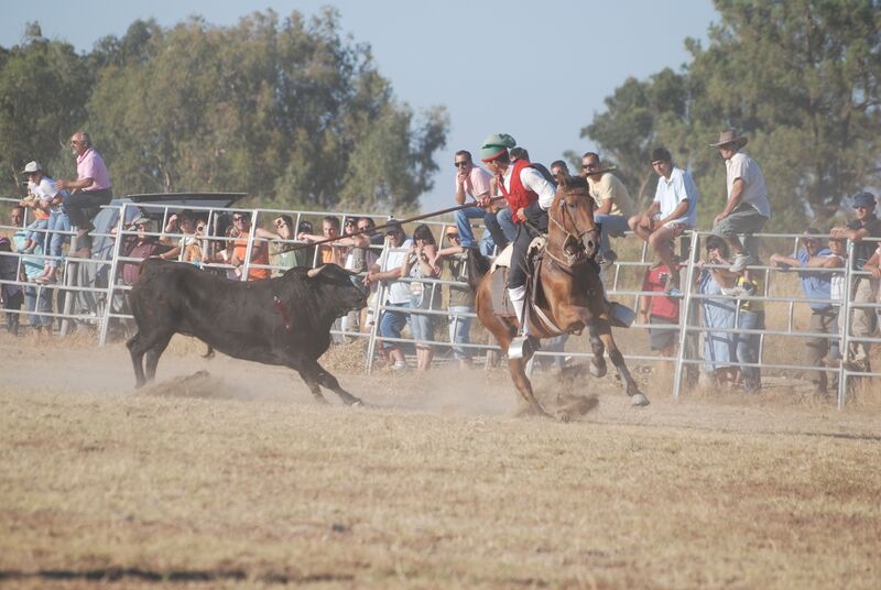Ficheiro:FBVS 61.JPG