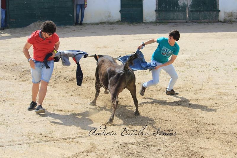 Ficheiro:UTA F3.jpg