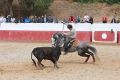 Tiago Martins F20.jpg