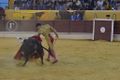 Ass Eh! Toiro F99.jpg