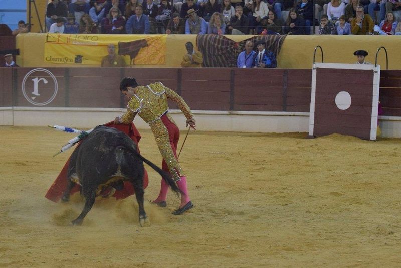 Ficheiro:Ass Eh! Toiro F99.jpg