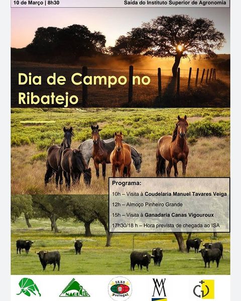 Ficheiro:Taurisa C4.jpg