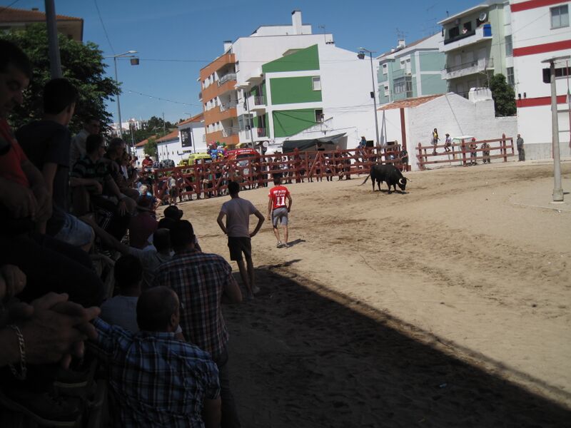 Ficheiro:FeiraMaioAzambuja 02-06-2019 7865.JPG