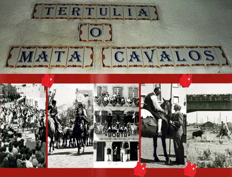 Ficheiro:Mata Cavalos F2.jpg
