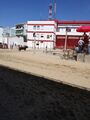 FeiraMaioAzambuja 20190602 115246.jpg