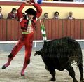 David Ferreira F24.jpeg